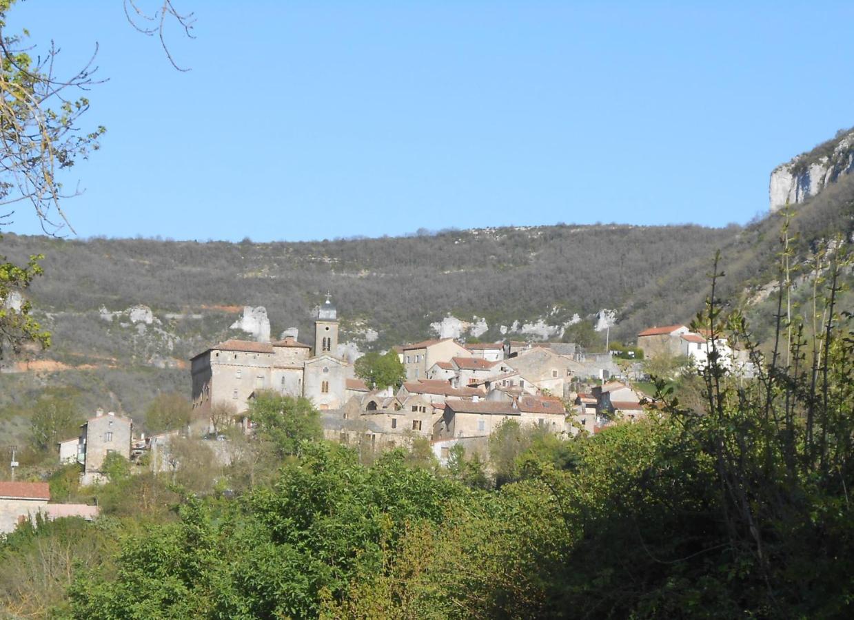 Maison Spacieuse Et Agreable Saint-Georges-de-Luzençon Exterior foto
